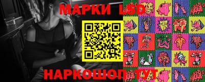 мет Кингисепп