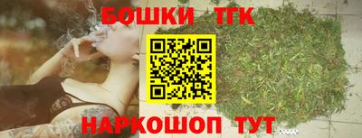 мет Кингисепп