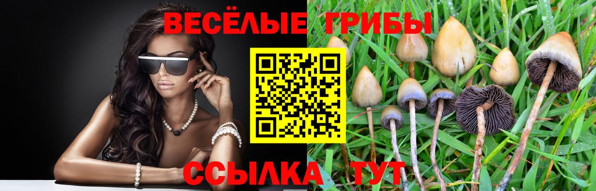 Псилоцибиновые грибы Magic Shrooms  Галлюциногенные грибы мухоморы  Унеча  Вход с VPN 